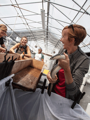 Sara Rademaker, at right, holds a mature eel while, from left, Sophie Swain, Kathleen Marciano, and Alex Nguyen watch.