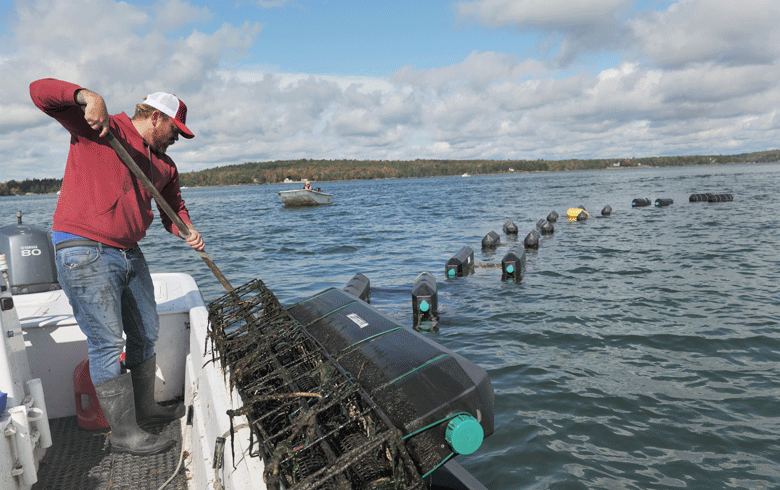 A selection of Mere Point Oyster Company’s products. PHOTO: COURTESY MERE POINT OYSTER COMPANY