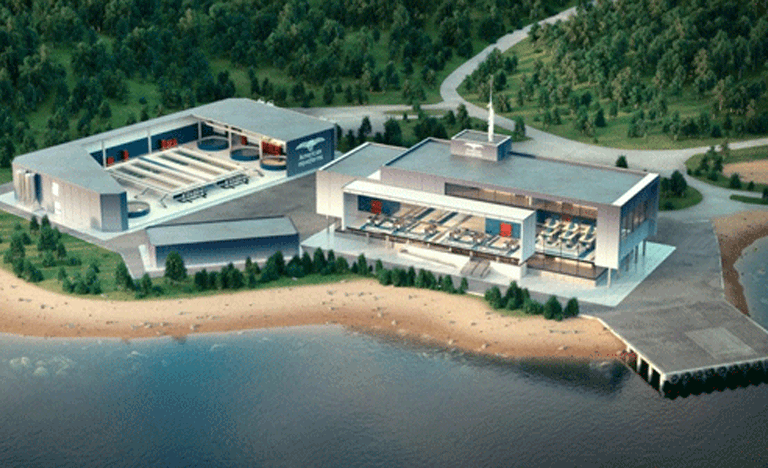 Artist's rendering of land-based portion of salmon farm proposed for Frenchman Bay.