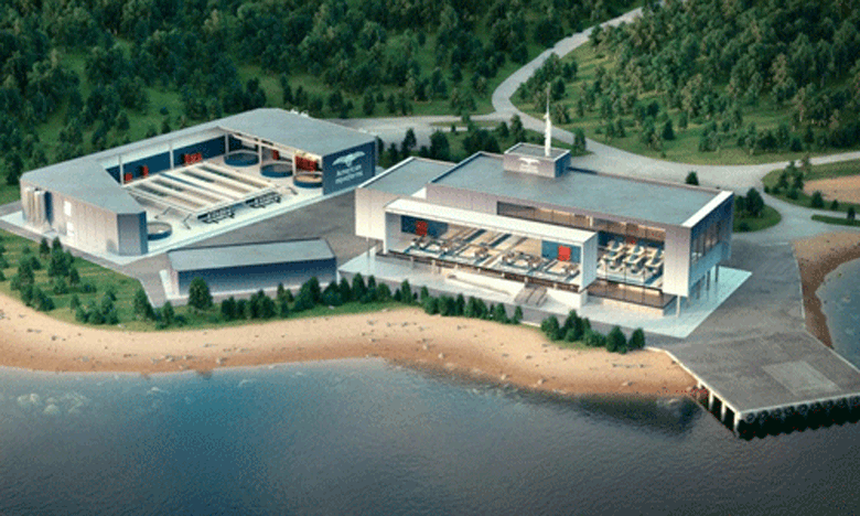 Artist's rendering of land-based portion of salmon farm proposed for Frenchman Bay.