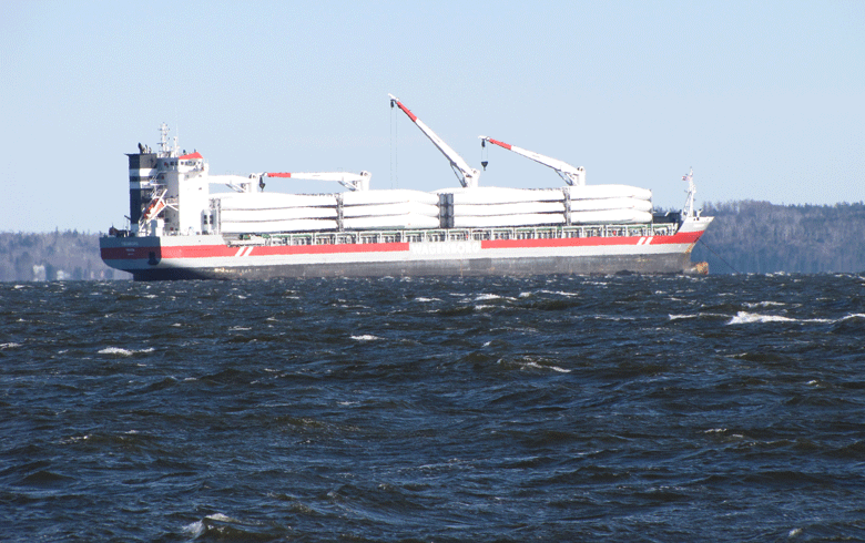 A container ship off Searport. FILE PHOTO: TOM GROENING