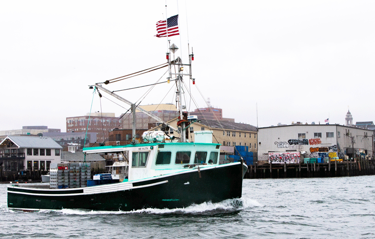 A fishing boat cruises past some of Portland's wharves. PHOTO: JACK SULLIVAN