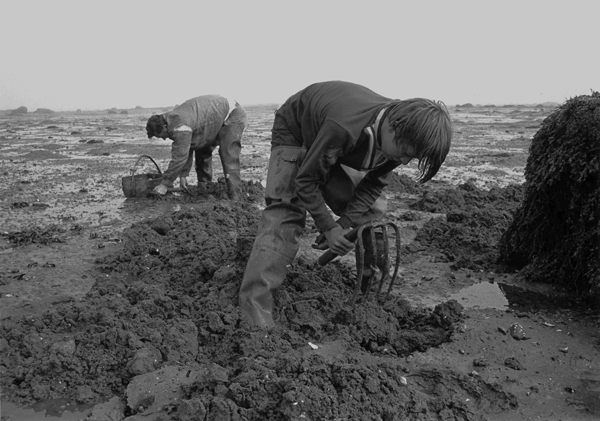 Bertram Peabody and son clam digging on Beals Island, 1971.