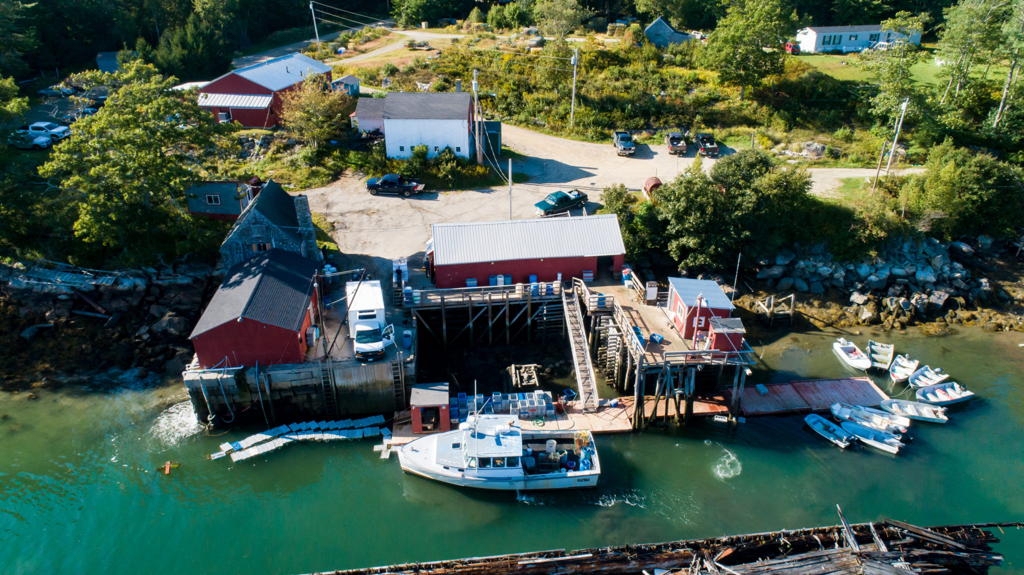 Maine’s working waterfronts need our help LaptrinhX / News