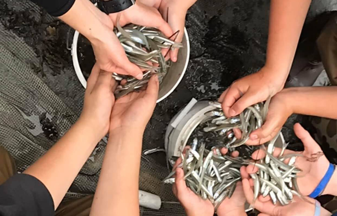 A Few of Our Favorite Things Empowering Youth through STEM Island