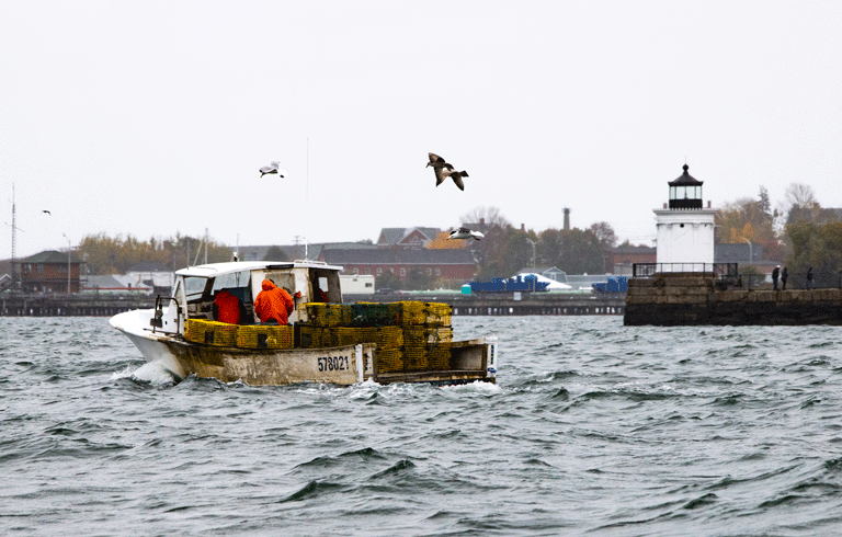 Fishermen pull their traps for the season off South Portland in October. PHOTO: JACK SULLIVAN