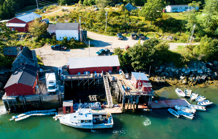 An aerial view of Bremen Community Shellfish, shot in September. PHOTO: JACK SULLIVAN