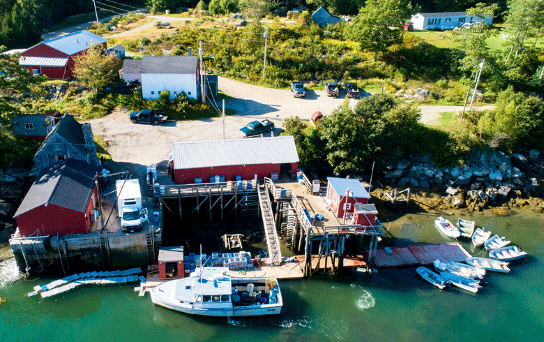 An aerial view of Bremen Community Shellfish, shot in September. PHOTO: JACK SULLIVAN