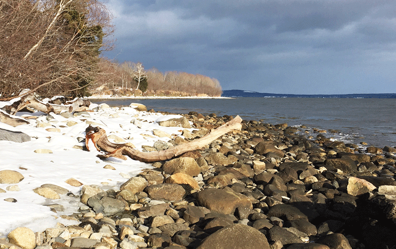 A view of the eastern shore of Sears Island. FILE PHOTO: TOM GROENING