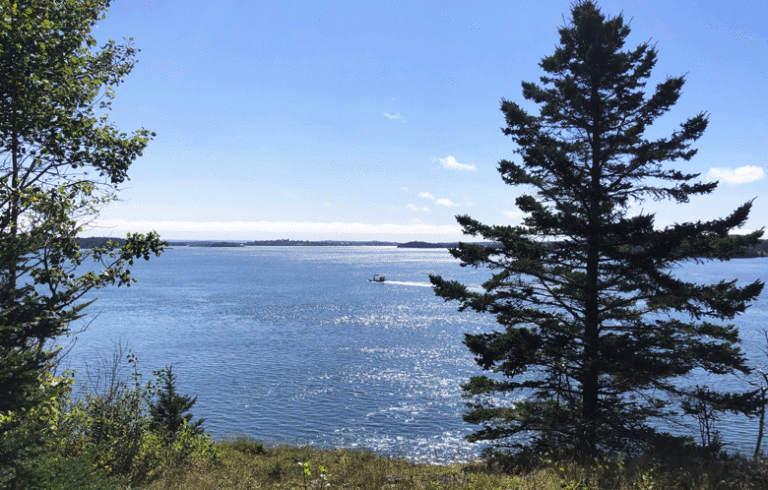 A view from Shackford Head in Eastport. FILE PHOTO: TOM GROENING