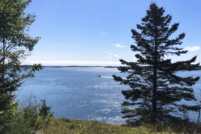 A view from Shackford Head in Eastport. FILE PHOTO: TOM GROENING