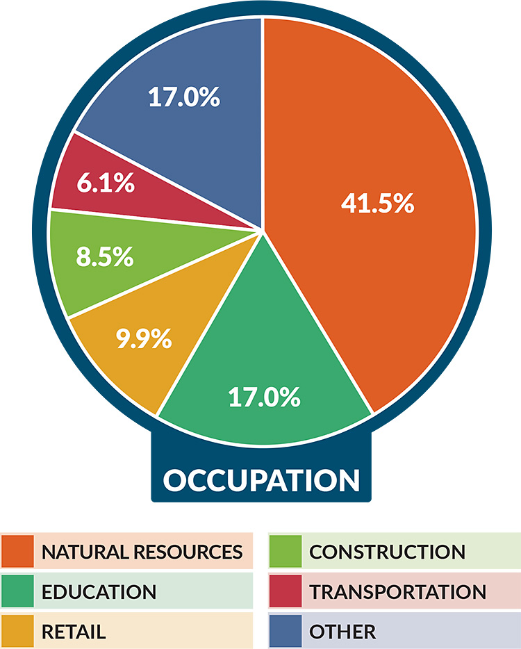 Swan's Island Occupation