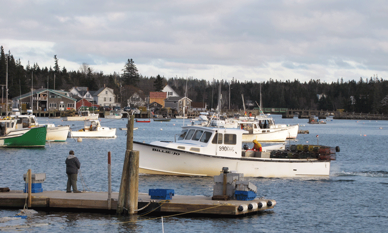 Vinalhaven Harbor FILE PHOTO: TOM GROENING