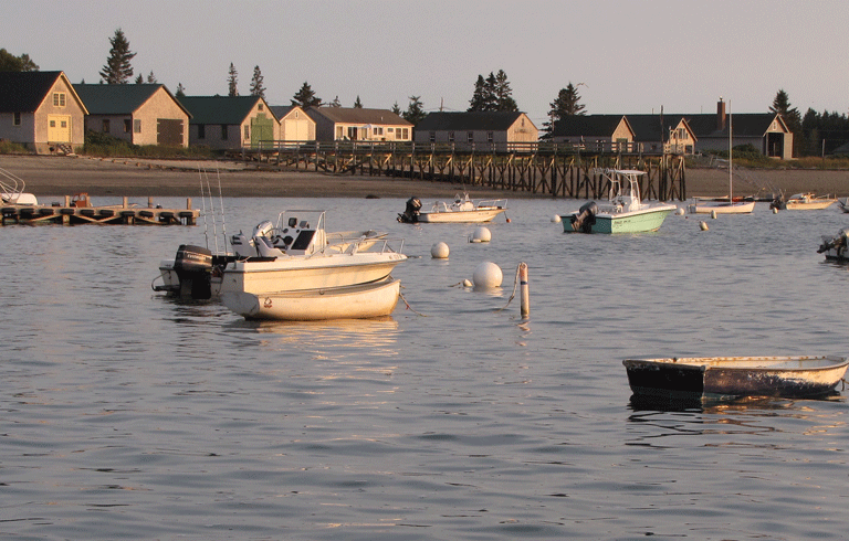 Boathouses on Little Cranberry Island in late afternoon sun. FILE PHOTO: TOM GROENING
