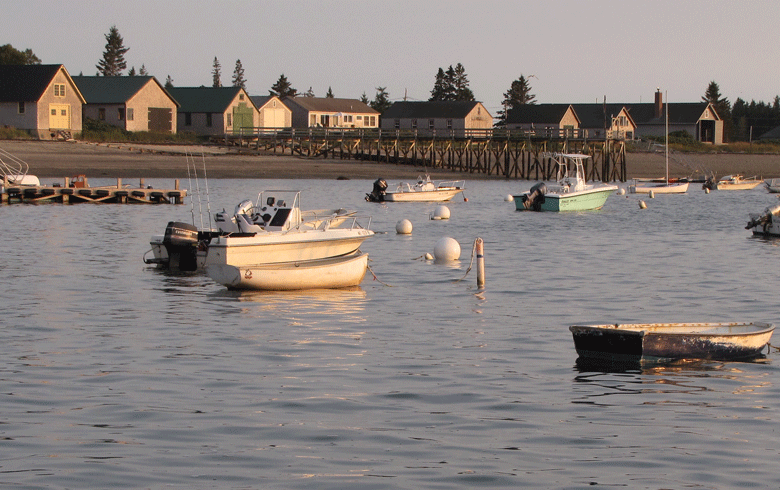 Boathouses on Little Cranberry Island in late afternoon sun. FILE PHOTO: TOM GROENING