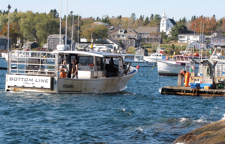 A lobster boat unloads in Corea Harbor. FILE PHOTO: TOM GROENING