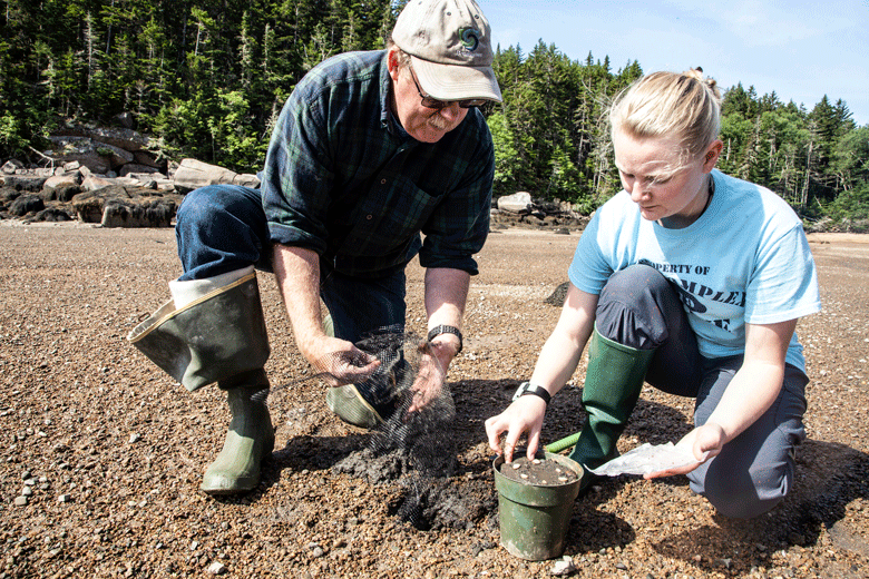 Dr. Brian Beal of the Downeast Institute on Beals Island works with Madeline Williams setting up a test pot for softshell clams.