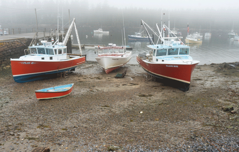 Boats high and dry in Winter Harbor.
