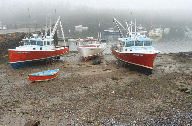 Boats high and dry in Winter Harbor.