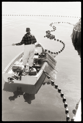 A Kosti Ruohomaa photo from the Penobscot Marine Museum’s collection shows a herring fisherman.