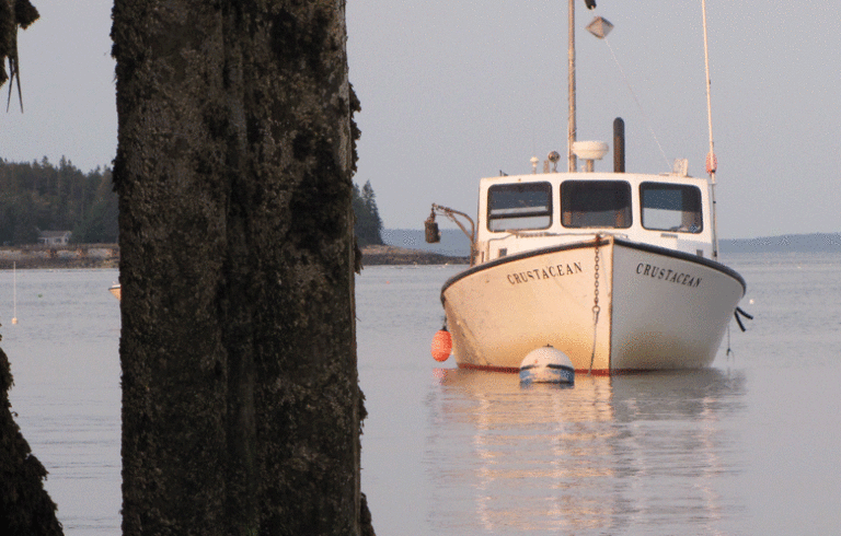 A lobster boat at its mooring off Great Cranberry Island.