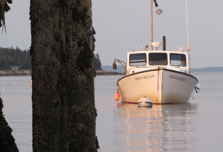 A lobster boat at its mooring off Great Cranberry Island.