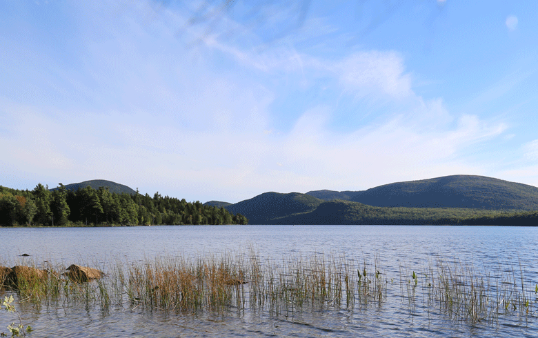 A view of Eagle Lake in Acadia National Park. PHOTO: COURTESY FRIENDS OF ACADIA