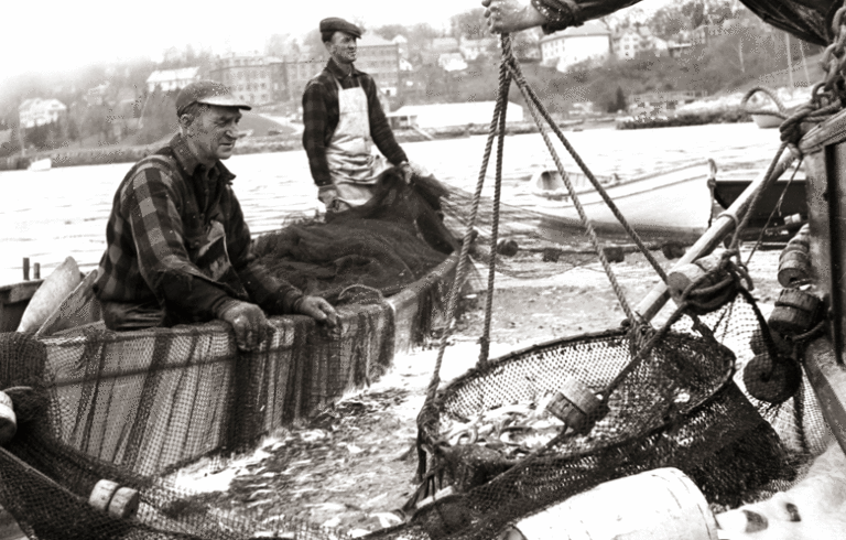 A photograph composed and made by Carroll Thayer Berry shows a soon-to-vanish method of herring harvesting. PHOTO: PENOBSCOT MARINE MUSEUM