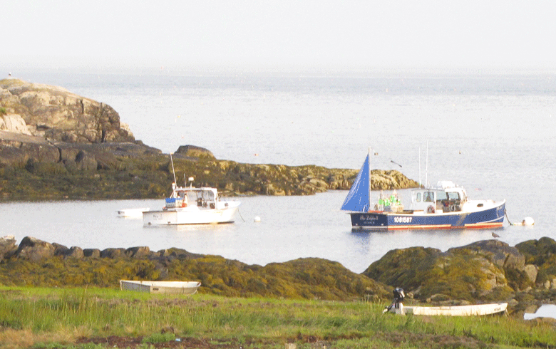 Boats at their moorings in a cove off Long Island. FILE PHOTO: TOM GROENING