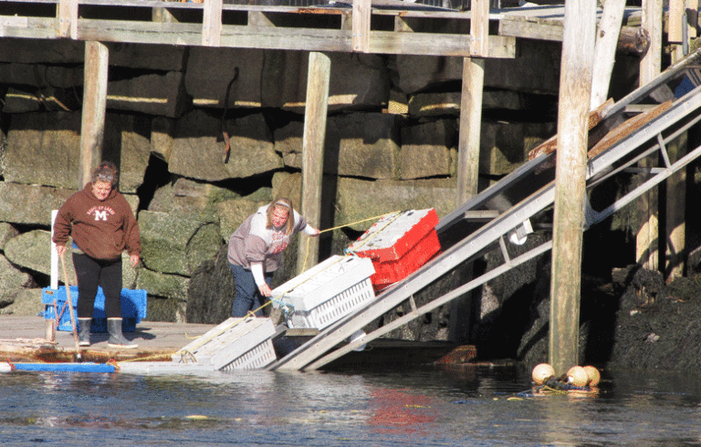 Lobster landing in Vinalhaven. FILE PHOTO: TOM GROENING