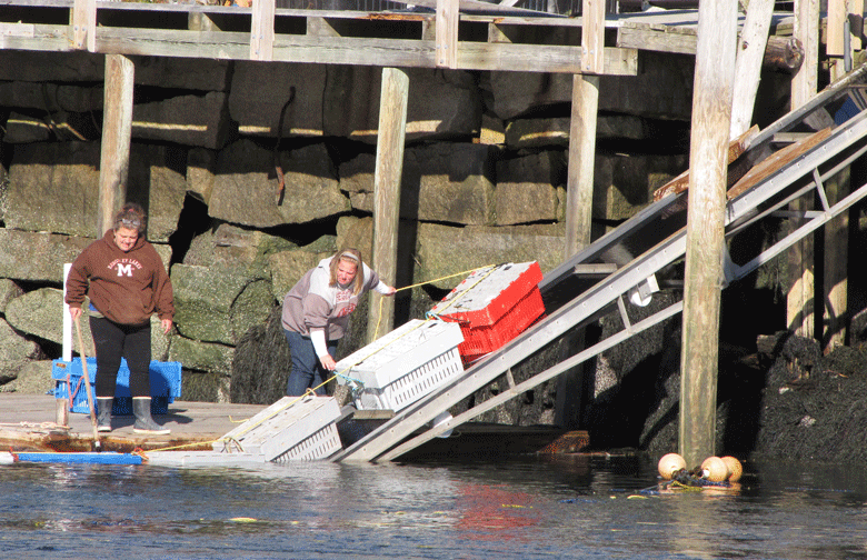 Lobster landing in Vinalhaven. FILE PHOTO: TOM GROENING