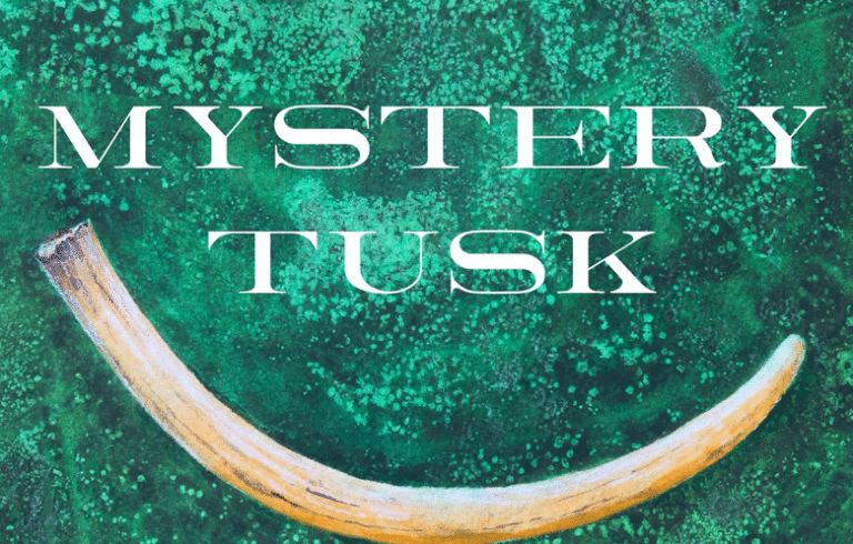 Mystery Tusk
