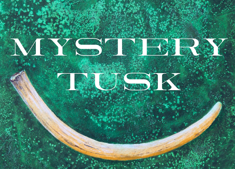 Mystery Tusk