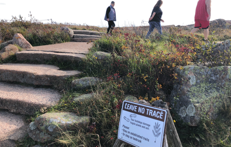 Signs on the South Ridge trail to the summit of Cadillac Mountain warn hikers off sensitive vegetation. PHOTO: TOM GROENING