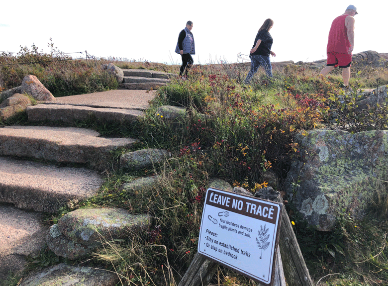 Signs on the South Ridge trail to the summit of Cadillac Mountain warn hikers off sensitive vegetation. PHOTO: TOM GROENING