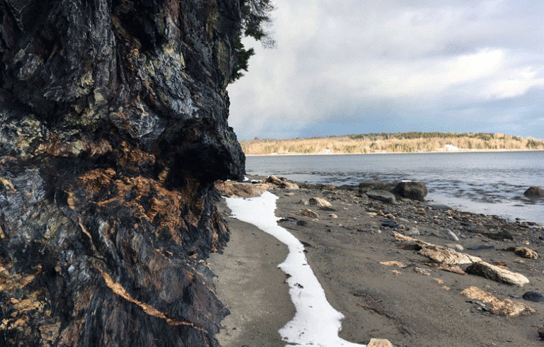 A rock cliff and sandy shore on the east side of Sears Island. FILE PHOTO: TOM GROENING