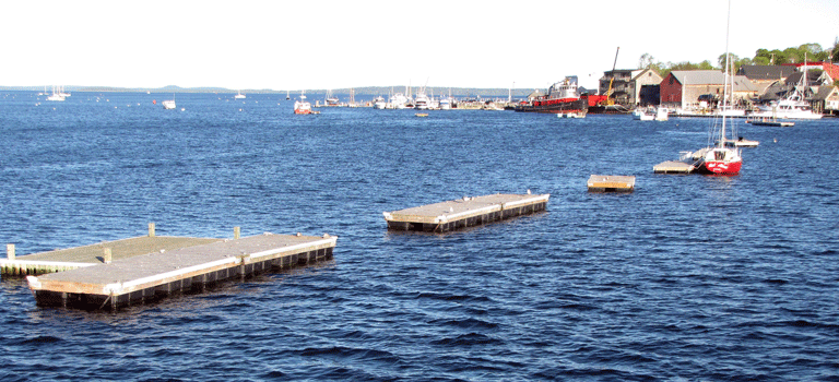 Floats in Belfast Harbor. FILE PHOTO: TOM GROENING