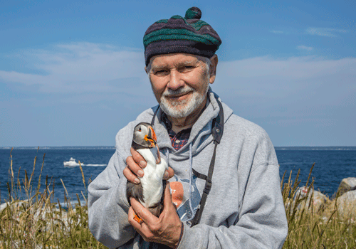 Steve Kress hold a puffin.