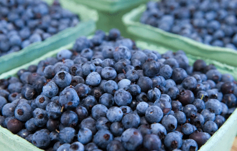 Maine wild blueberries.