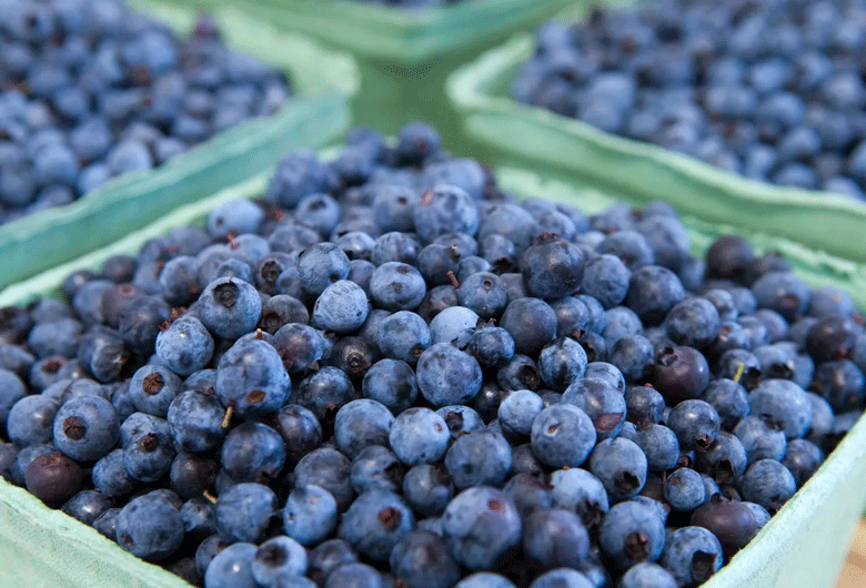 Maine wild blueberries.