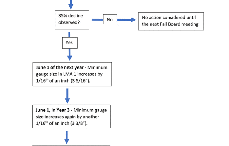 flow chart