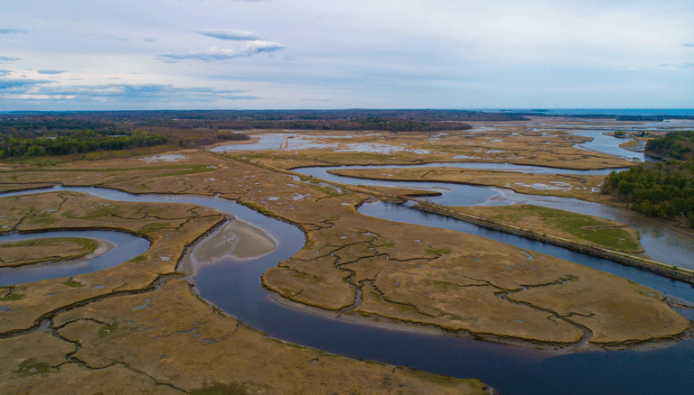 An aerial veiew of Scarborough Marsh from May 2021. PHOTO: JACK SULLIVAN