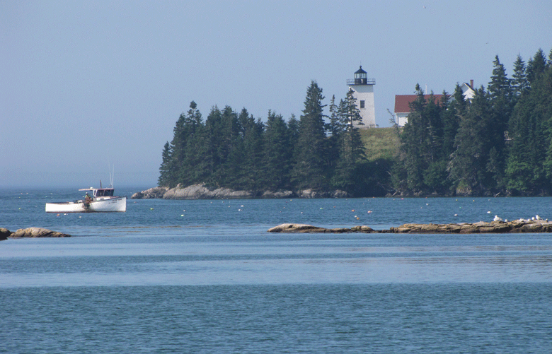 A view across Swan's Island's harbor.