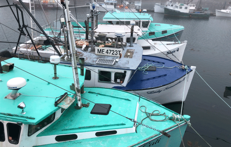 A foggy August day in Eastport.