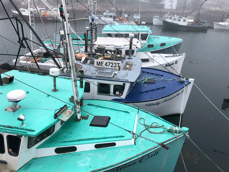 A foggy August day in Eastport.