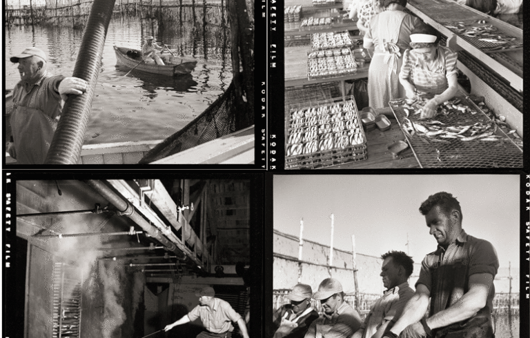Four images by renowned photographer Kosti Ruohomaa, shooting for the Maine Sardine Council. PHOTOS: PENOBSCOT MARINE MUSEUM
