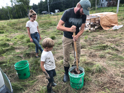 Mashing up the green crabs. PHOTO: TOM GROENING