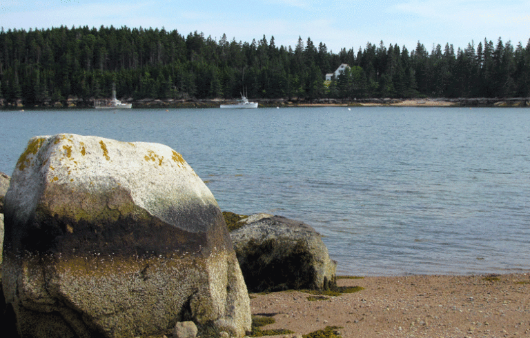 A view from Brooklin's Naskeag Point.