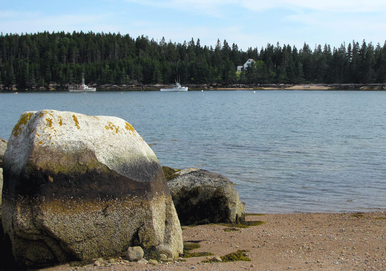 A view from Brooklin's Naskeag Point.