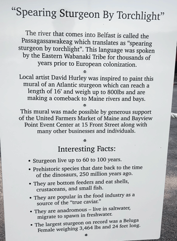 This sign has been installed on Belfast's harbor walk.